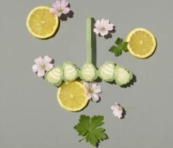 Marcel's Green Soap Toiletblok Geranium & Citroen - 55 Gram 11 Marcel's Green Soap Toiletblok Geranium & Citroen - 55 Gram -Huishoudelijke Artikelen Winkel 1200x1023