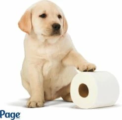 Page Toiletpapier - Eco - Duurzaam - 24 Rollen - Voordeelverpakking -Huishoudelijke Artikelen Winkel 1200x1186