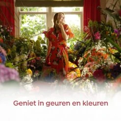 Robijn Klein & Krachtig Color Vloeibaar Wasmiddel - 8 X 19 Wasbeurten - Voordeelverpakking 15 Robijn Klein & Krachtig Color Vloeibaar Wasmiddel - 8 X 19 Wasbeurten - Voordeelverpakking -Huishoudelijke Artikelen Winkel 1200x1200 1321