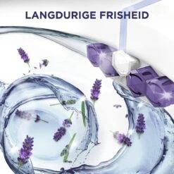 Glorix Power 5 Toiletblokken - Lavendel - 9 Stuks - Voordeelverpakking 15 Glorix Power 5 Toiletblokken - Lavendel - 9 Stuks - Voordeelverpakking -Huishoudelijke Artikelen Winkel 1200x1200 184